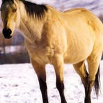 Joseph Mathew Fredenberg - Facebook Profile Picture of Joseph Mathew Fredenberg (@josephfredenberg) on Facebook