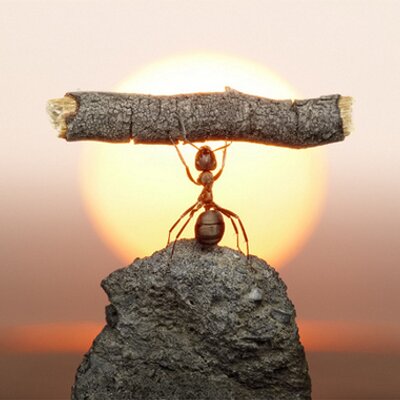 Profile Picture of Isaac Mikel Waldon (@imwaldon) on Twitter