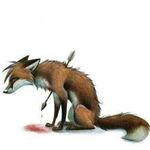 Profile Picture of Steve Lockwood (@steve.lockwood.56) on Instagram