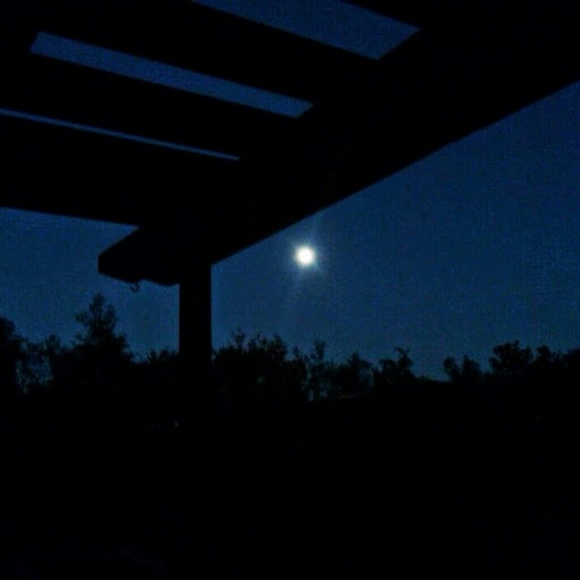 Profile Picture of Minnette Leoni (@mzlogar1) on Poshmark