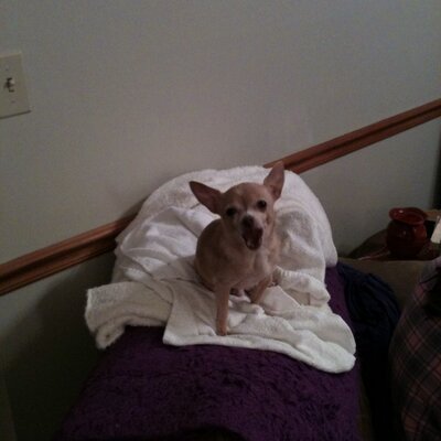 Steven Jarrard - Twitter Profile Picture of Steven Jarrard (@titanicjesus) on Twitter