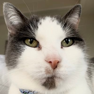 Profile Picture of Darryl Larson (@TheDarrylLarson) on Twitter