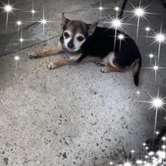 Profile Picture of Beverly Ward (@@beverlyward0) on Tiktok