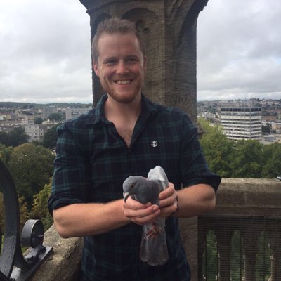 Profile Picture of Matt Rowe (@mattrowe87) on Twitter