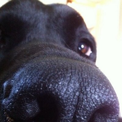 Profile Picture of Peter Redfern (@peterredfern63) on Twitter