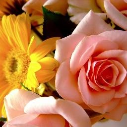 Profile Picture of Vijay Anagurthi (@vijayanagurthi1) on Twitter