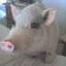 Profile Picture of Scott Finlayson (@scott.finlayson.75436) on Facebook