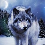 Profile Picture of Austin Ivey (@austin.ivey.777) on Instagram