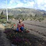 Profile Picture of Yolanda Mazon (@yolanmazon) on Instagram