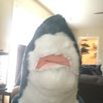 Profile Picture of Colin Fahey (@the_colin_fahey) on Instagram