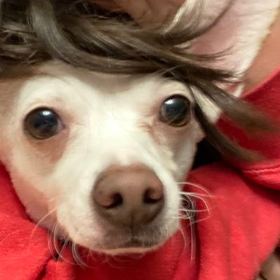 Profile Picture of Brian Kunkler (@Bkunks656) on Twitter