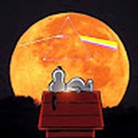 Profile Picture of Michael Hildenbrand (@michael-hildenbrand-6) on Quora