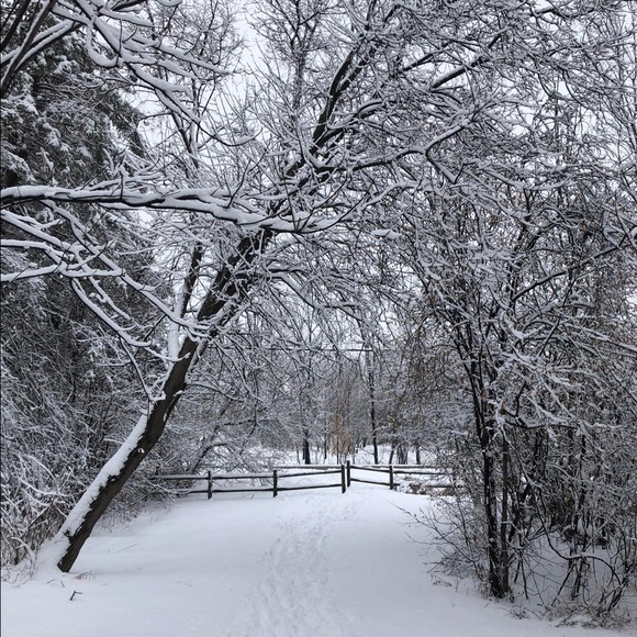 Profile Picture of Valeria Vasilyeva (@v_vasilyeva) on Poshmark