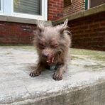 Profile Picture of Nicholas Angelo (@Nicholas-Angelo) on Facebook