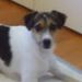 Profile Picture of Phyllis Roy (@phyllisroy111) on Pinterest