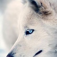 Profile Picture of Chris Mangum (@chris-mangum) on Quora