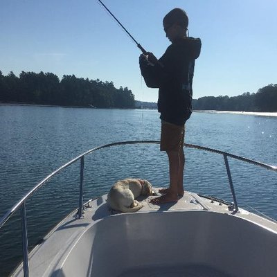 Profile Picture of David Remick (@drem98york) on Twitter