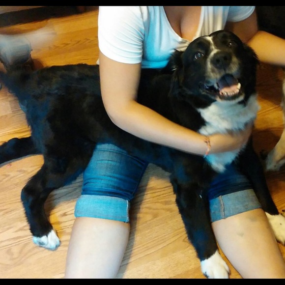 Profile Picture of Tiffany Torey (@tiffanyt21) on Poshmark