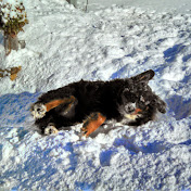 Profile Picture of Thomas Clegg Jr (@depotdog295th) on Youtube