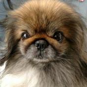 Profile Picture of John Greer (@Bistrobos1) on Youtube