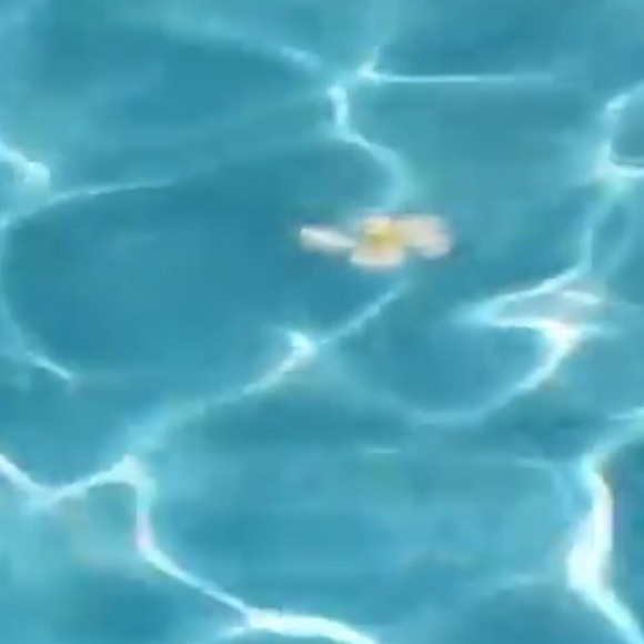 Profile Picture of Maddie Felkins (@maddief674) on Poshmark