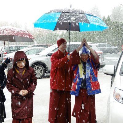 Profile Picture of Pui Kwan Wong (@PuiKwanWong1) on Twitter