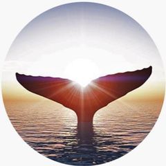 Profile Picture of janepitchford7 (@janepitchford7) on Tiktok