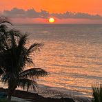 Profile Picture of Barbi McGee Thomas (@barbi.mcgeethomas) on Facebook