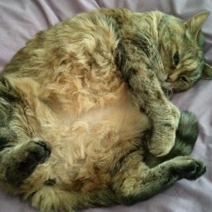 Profile Picture of Robert Sayer (@robertjsayer) on Twitter