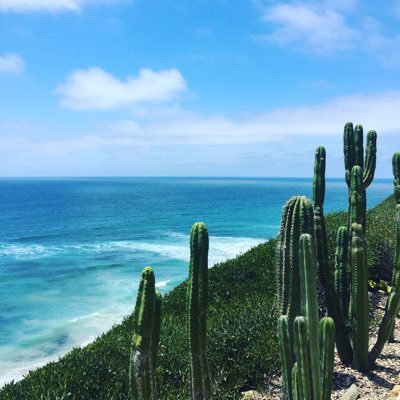 Profile Picture of Ross Temple (@RossosaurusRex) on Twitter