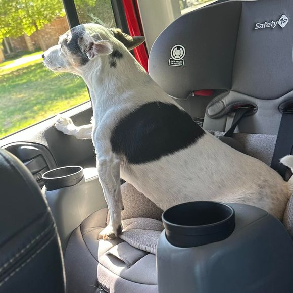 Dusty Murphy - Poshmark Profile Picture of Dusty Murphy (@dusty_murphy) on Poshmark