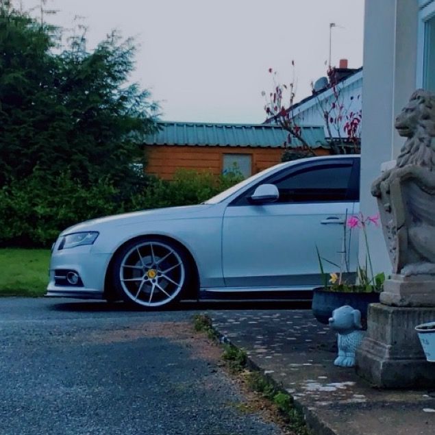 Profile Picture of   Adam Sheedy... (@adam_sheedy00) on Tiktok