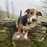 Profile Picture of Rich Barlow. (@thenorthernblacksmith) on Instagram