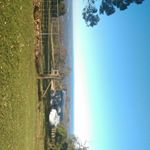 Profile Picture of CoOpEr AnD hArRiSoN (@harrison_and_cooper) on Instagram