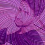 Profile Picture of Rizwan Ansari Rizwan Ansari (@rizwanansaro122) on Instagram