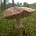 Stuart Bolton - Instagram Profile Picture of Stuart Bolton (@stubo63) on Instagram