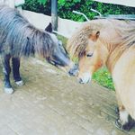 Profile Picture of Mischa Erkens (@mischa_erkens) on Instagram