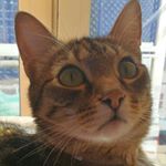 Daniela Campanelli - Instagram Profile Picture of Daniela Campanelli (@daniela.campanelli72) on Instagram