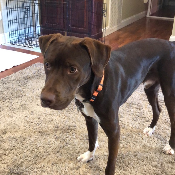 Profile Picture of Christopher Hendrix (@cwhendrix) on Poshmark