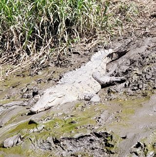 Profile Picture of Joe Dipper (@joe.dipper.14) on Facebook