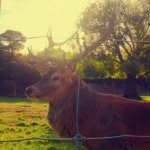 Profile Picture of William (@william.smart) on Instagram