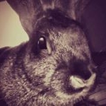 Profile Picture of Aaron Plummer (@aaronplummer165) on Instagram