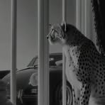 Profile Picture of Darbaz Almaney (@darbaz.almaney) on Facebook