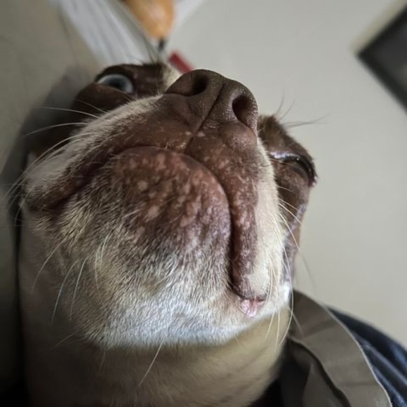 Profile Picture of Jacob Oller (@jacoboller) on Poshmark