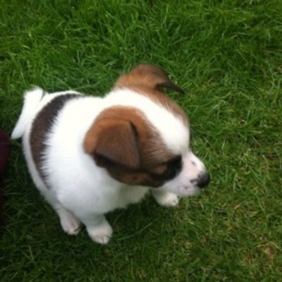 Profile Picture of Andy Seddon (@SeddonAndy) on Twitter