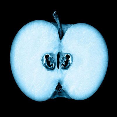 Profile Picture of JUN LI (@csichina) on Twitter