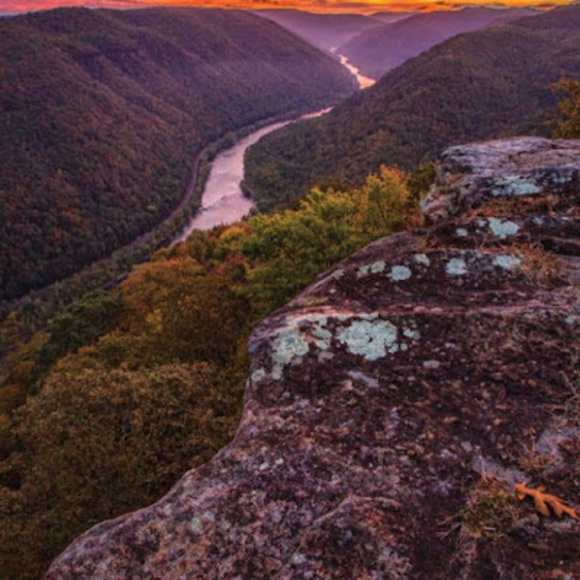 Hannah Searls - Poshmark Profile Picture of Hannah Searls (@hannahsearls156) on Poshmark