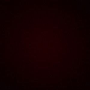 Profile Picture of Paula_ Apt (@Pau_Apt) on Twitter