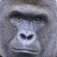 Profile Picture of Skyler Samuel (@skyler-samuel) on Quora