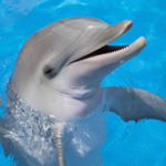 Profile Picture of Randolph Lopez (@randolphlopez72) on Instagram